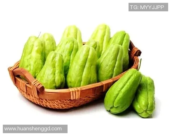 探索足球素菜的美味世界与健康理念,助力绿色饮食新风尚